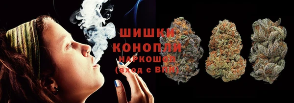 винт Новозыбков