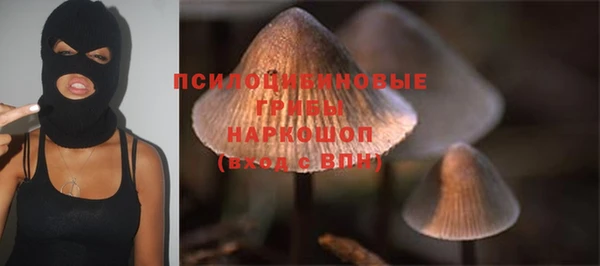 крисы Нязепетровск