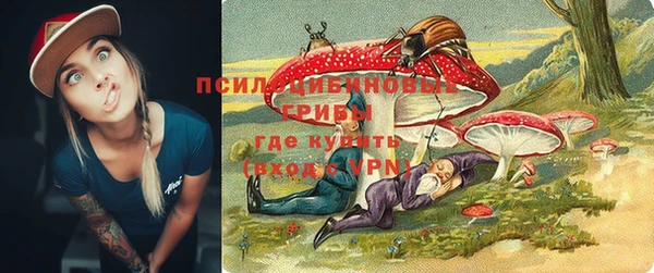 прущие крисы Новокубанск