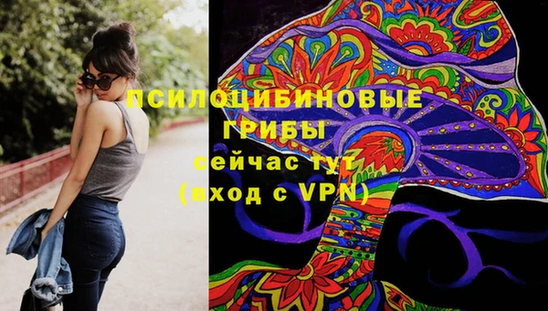 MESCALINE Новодвинск