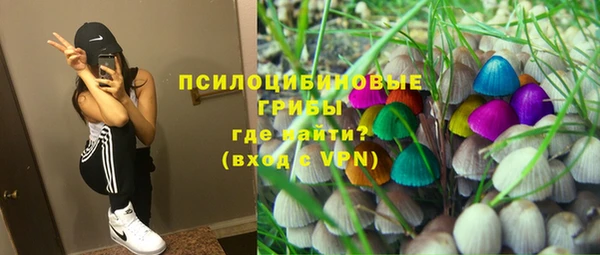 винт Новозыбков